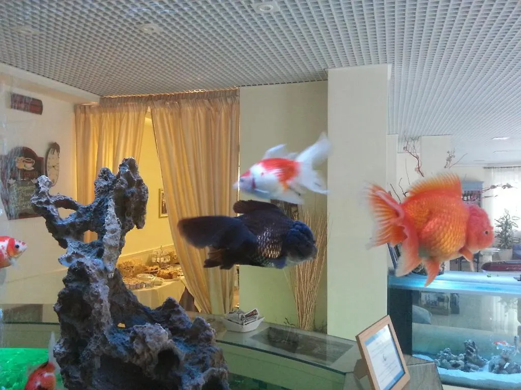 Hotel Il Gatto Rapallo